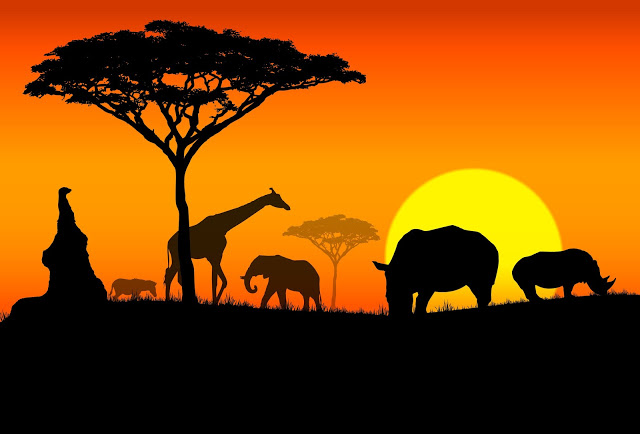 The Taste of Life In Africa