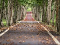 Are You on Blogging Course?