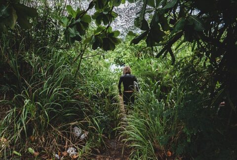 path-1209171_640